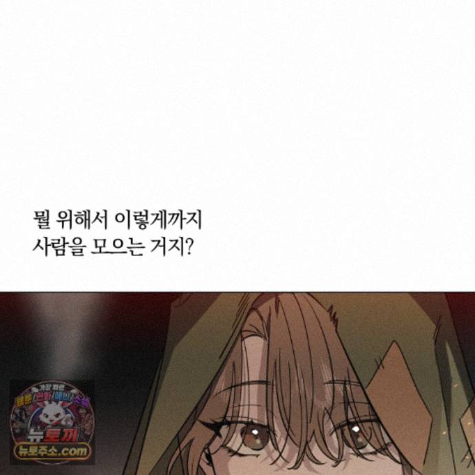 113.jpg