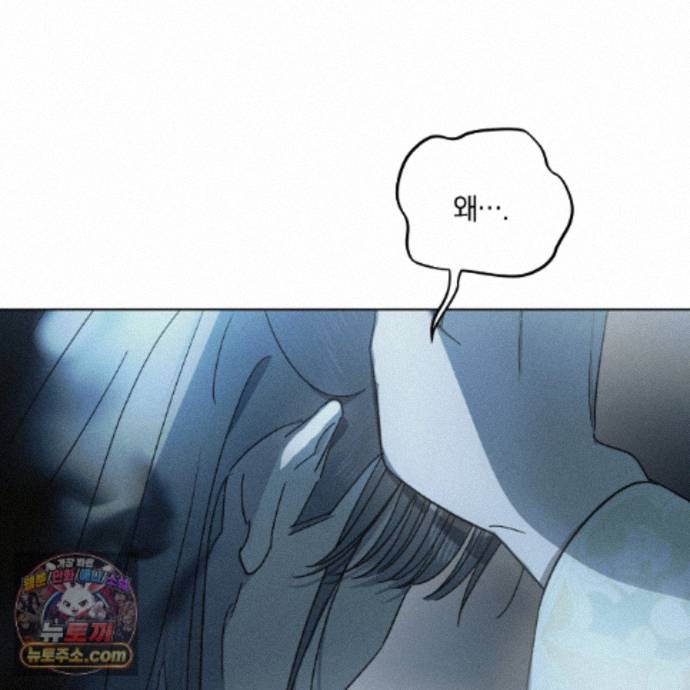146.jpg