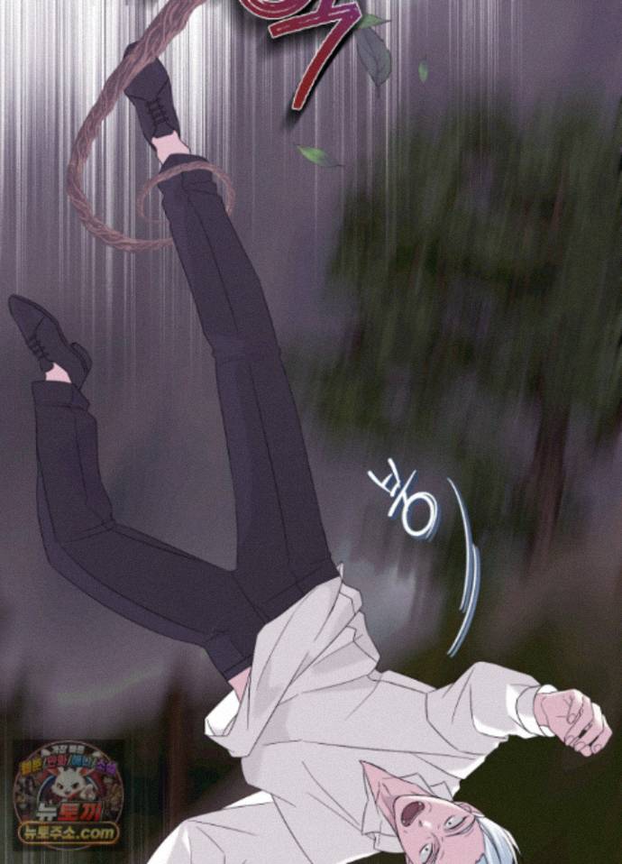009.jpg