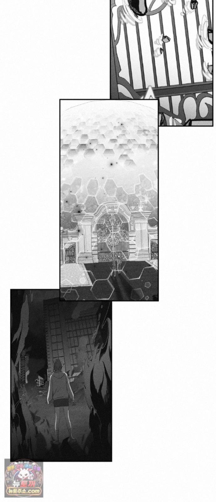 005.jpg