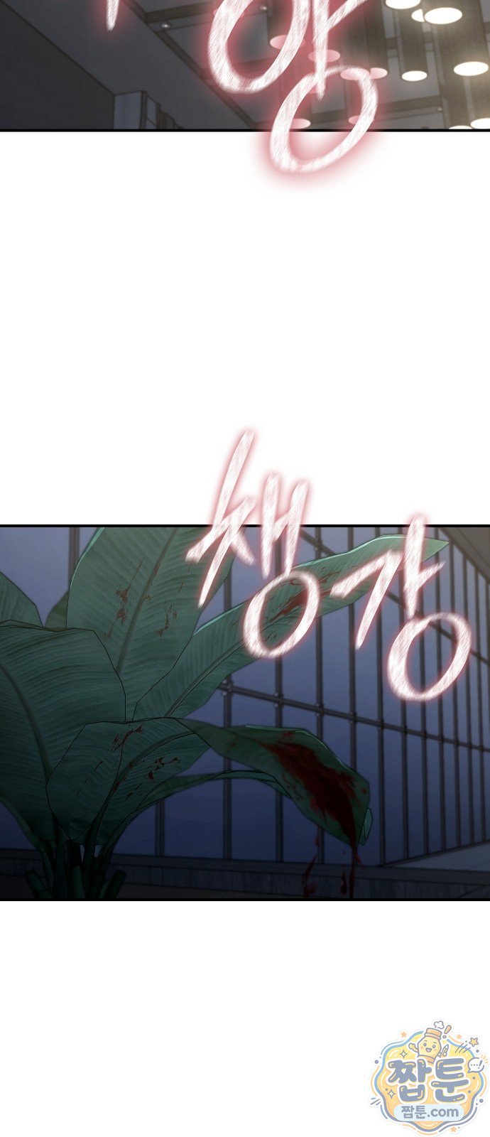 003.jpg