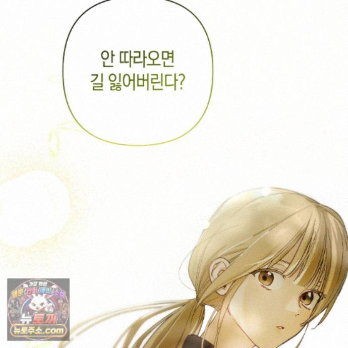 147.jpg