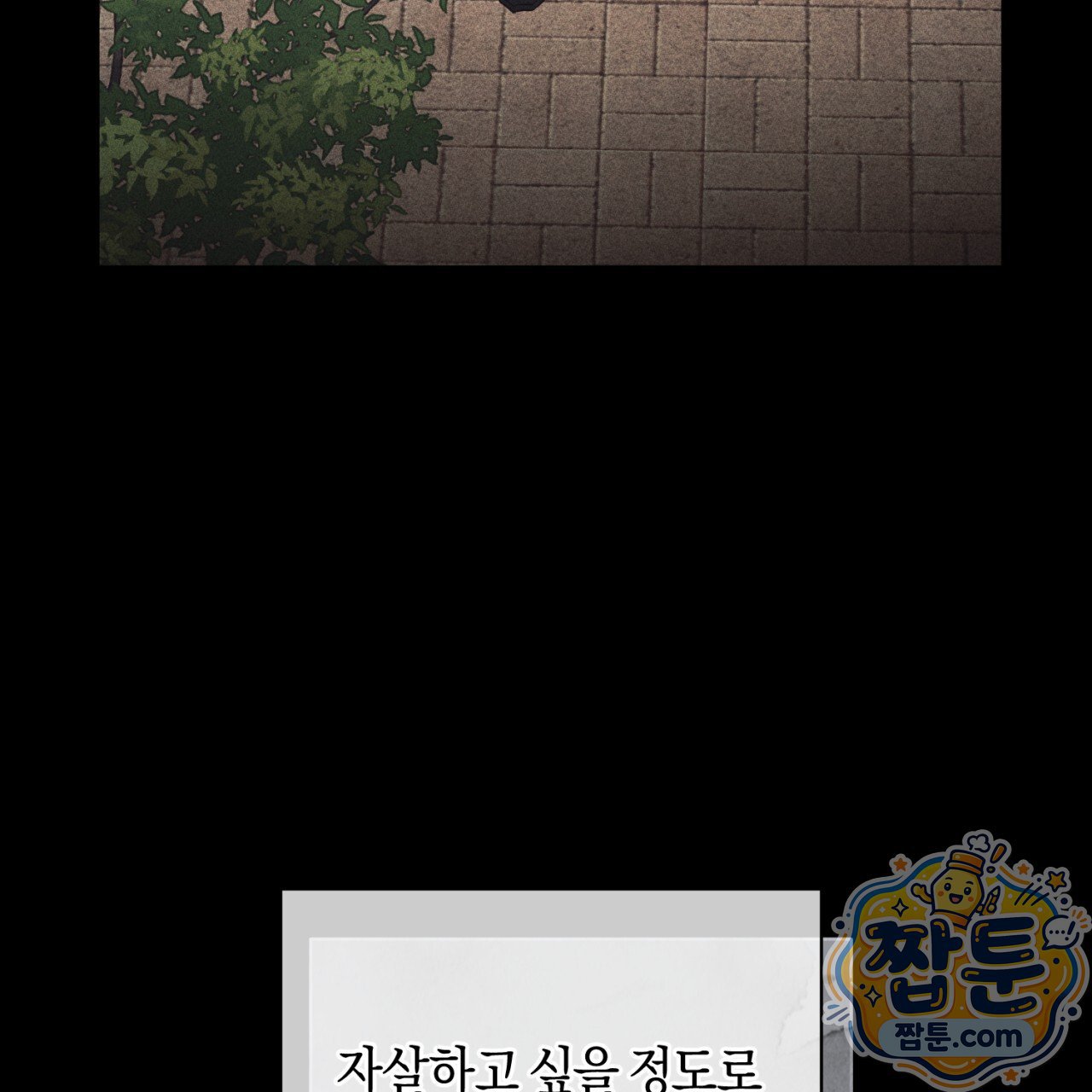 048.jpg