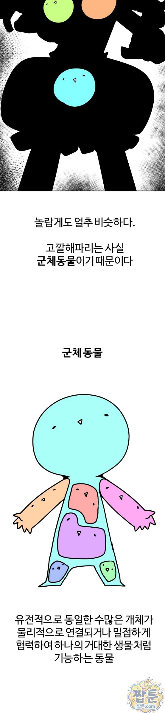 005.jpg