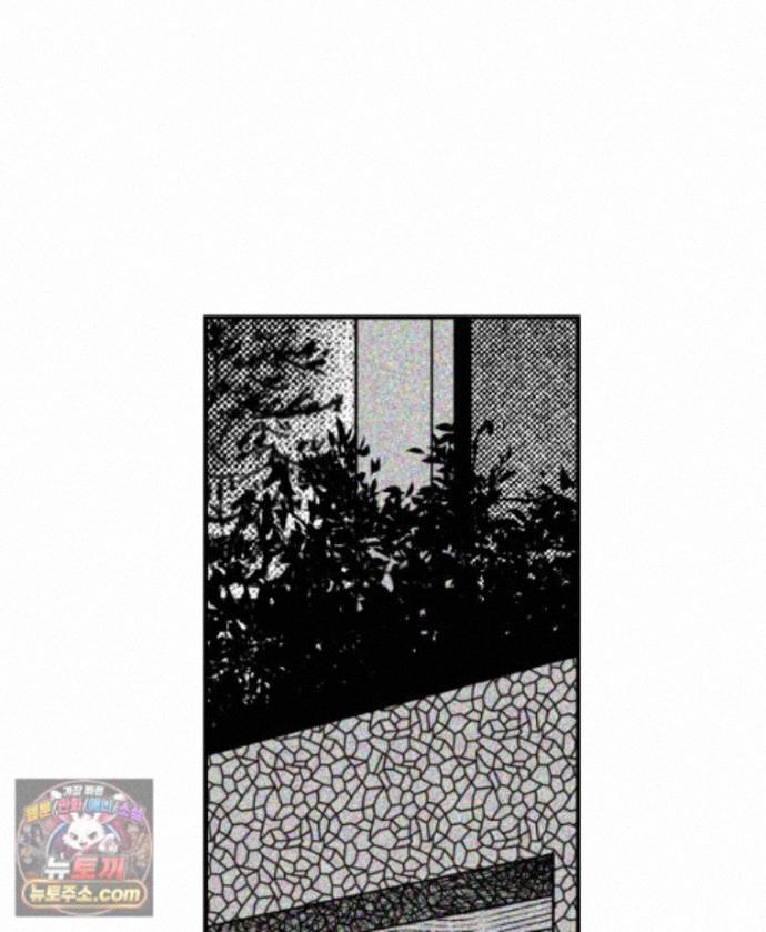 072.jpg