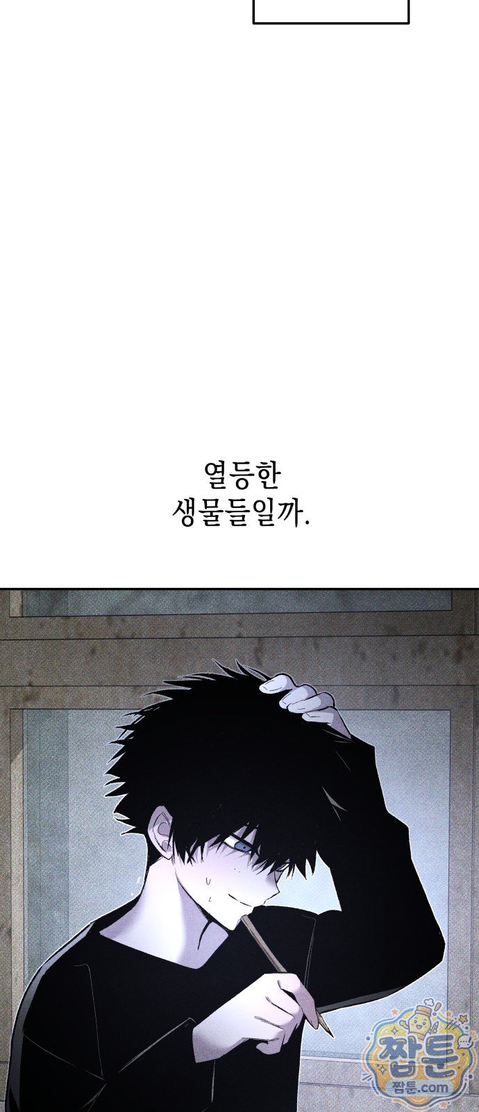 009.jpg