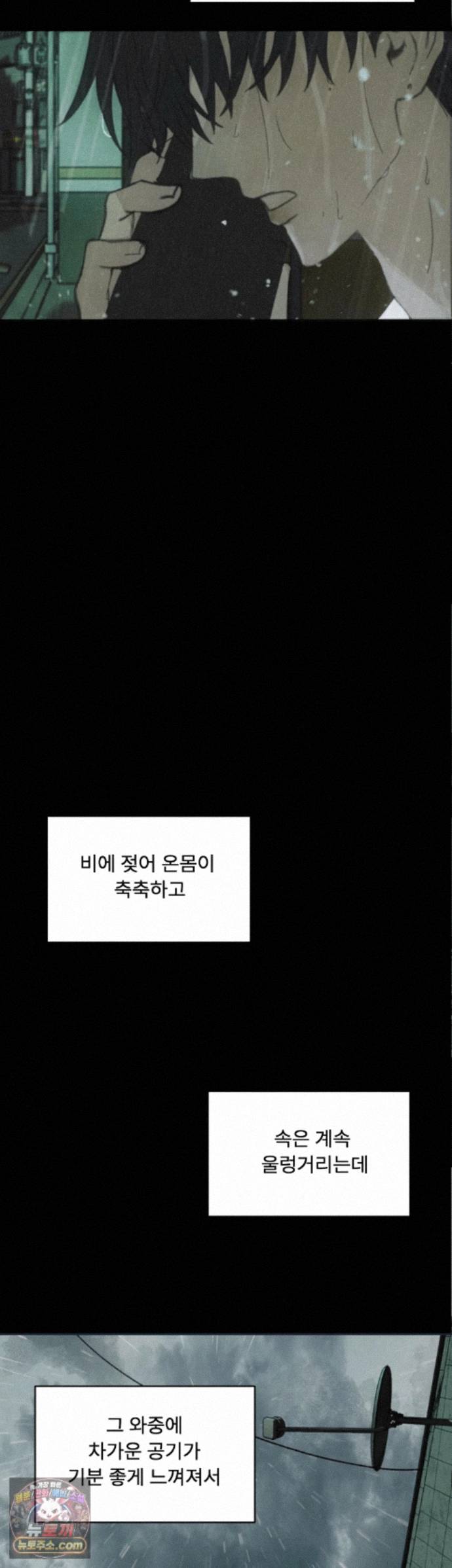 031.jpg