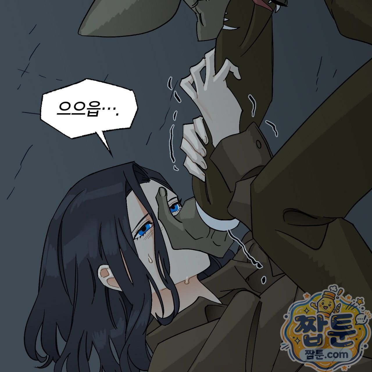 215.jpg