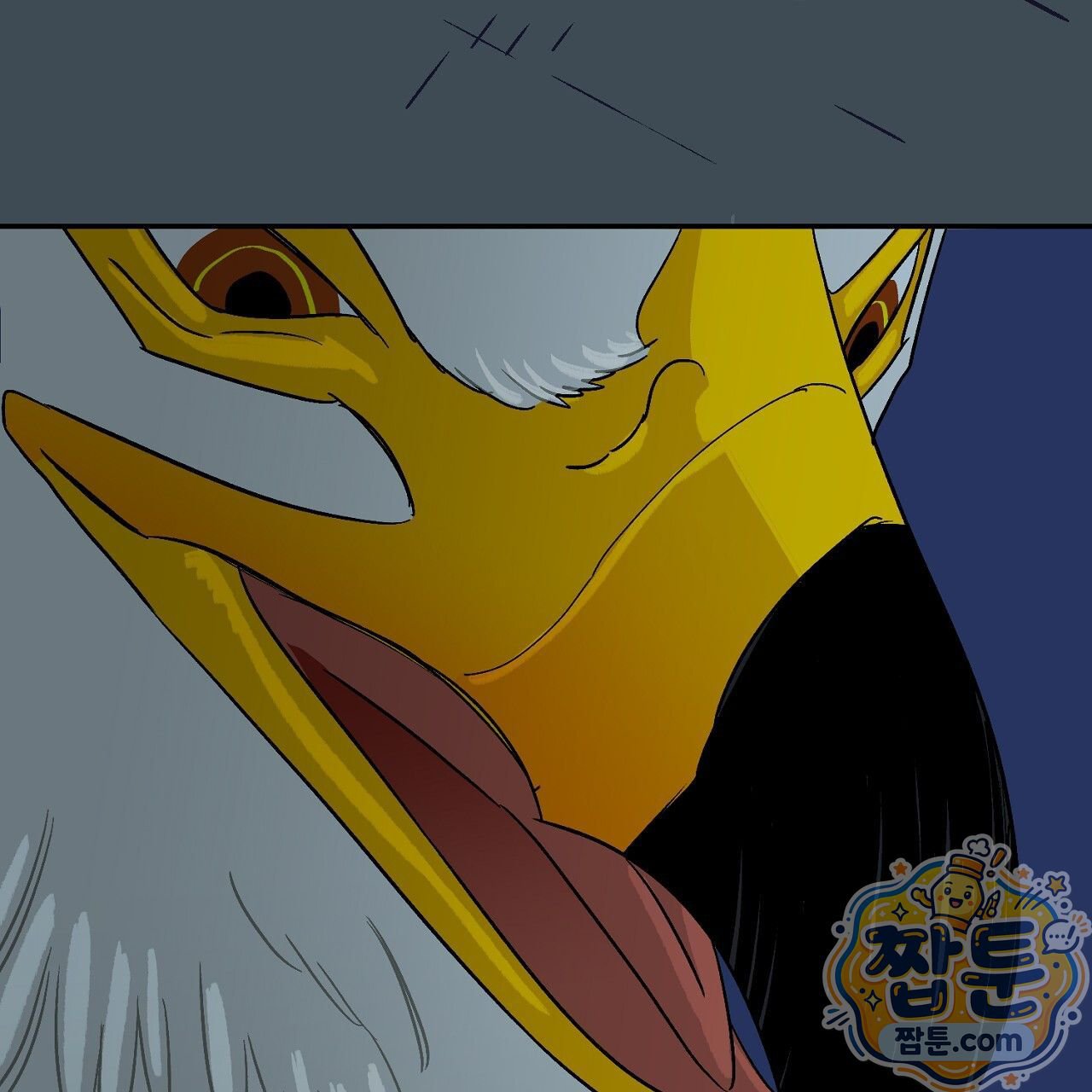 251.jpg