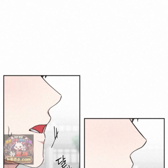 103.jpg