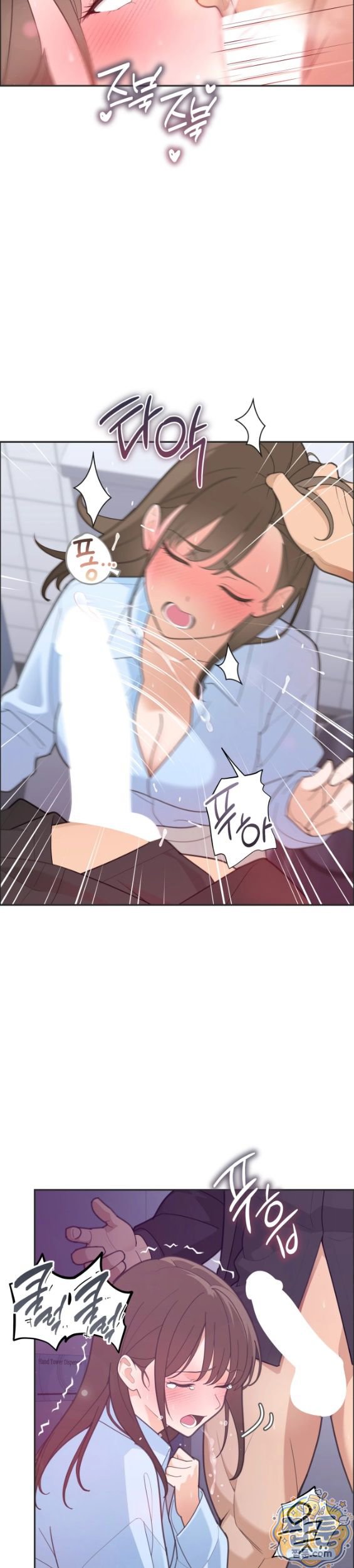 005.jpg