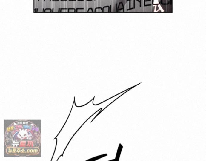 136.jpg