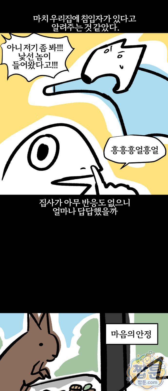 017.jpg