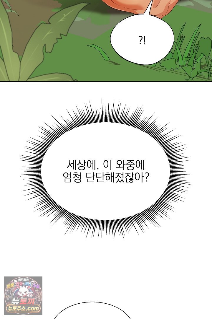 113.jpg
