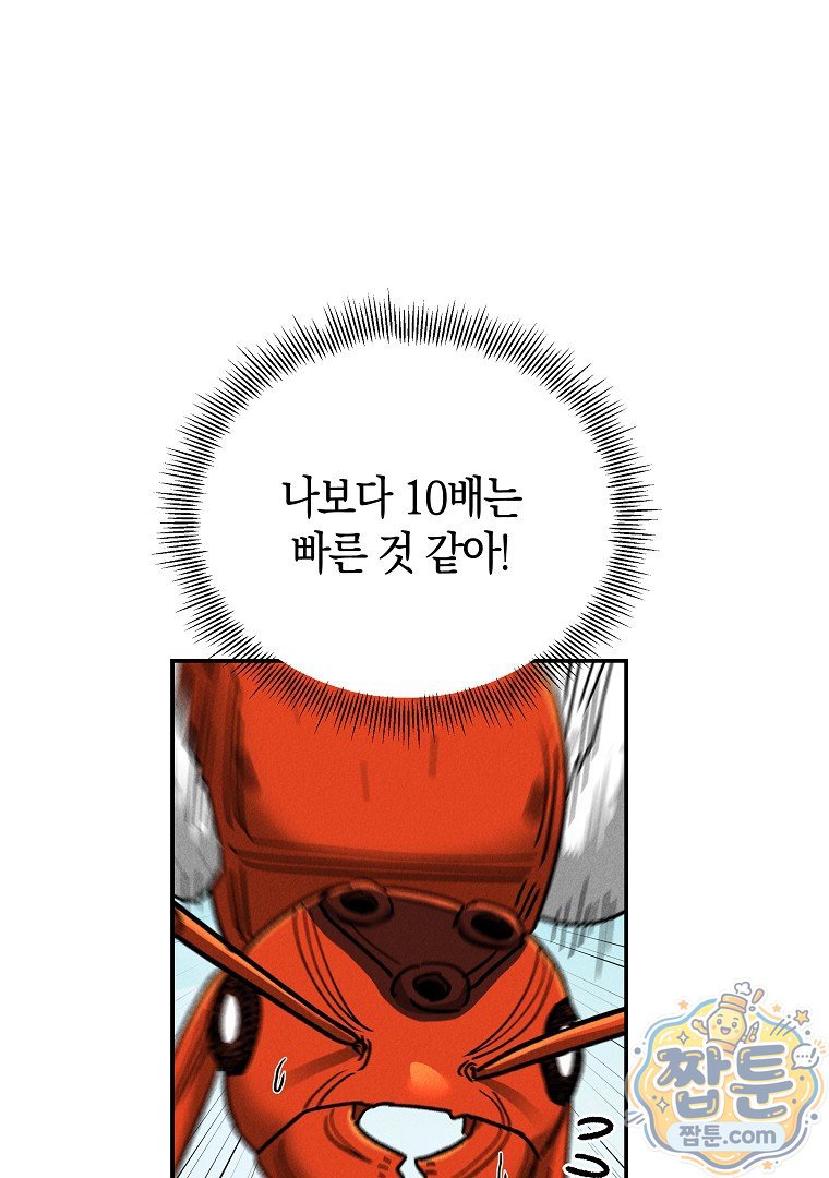 102.jpg