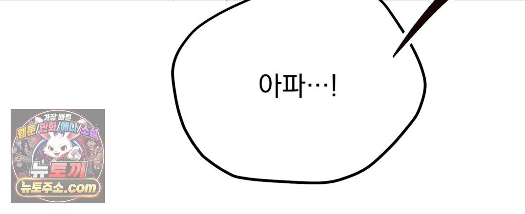 113.jpg