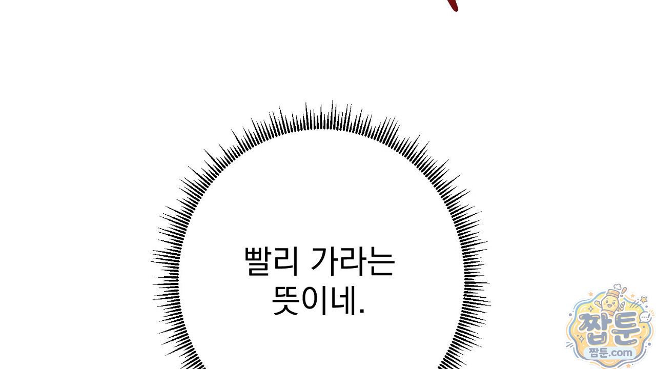 113.jpg