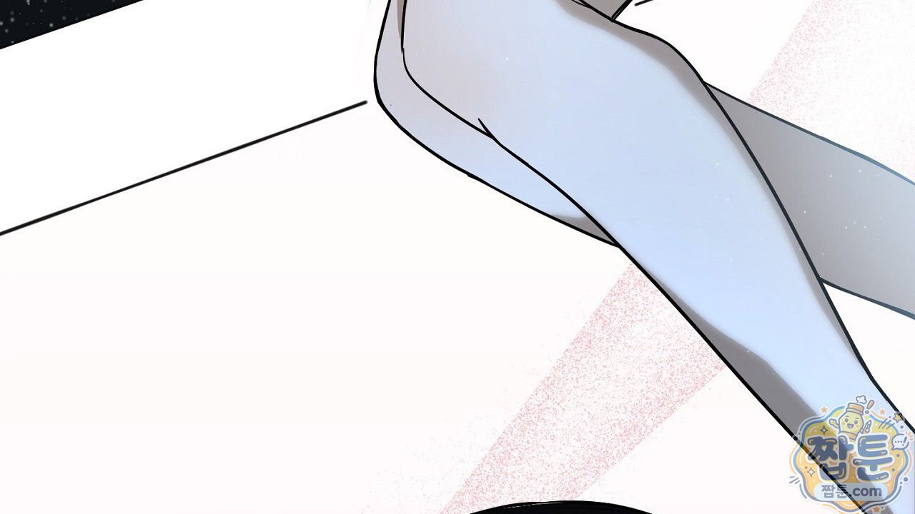 204.jpg