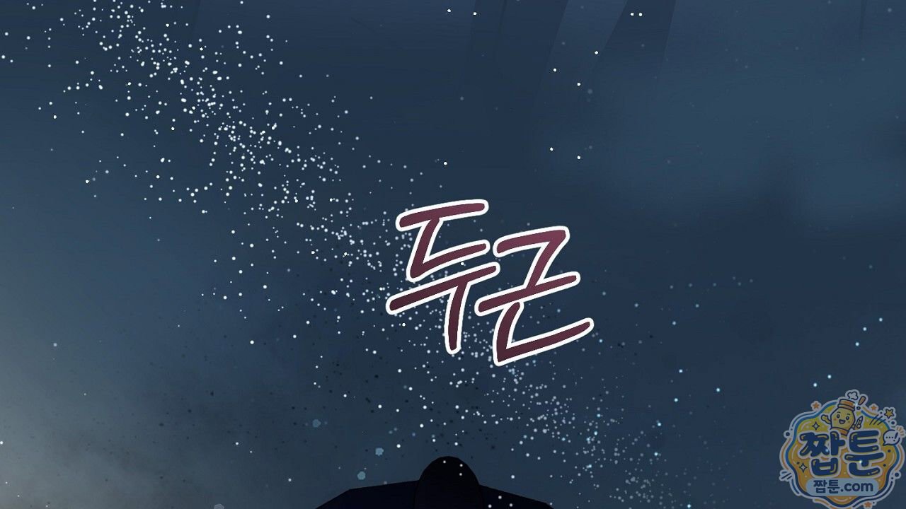 213.jpg