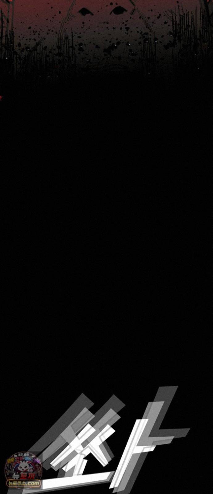 113.jpg