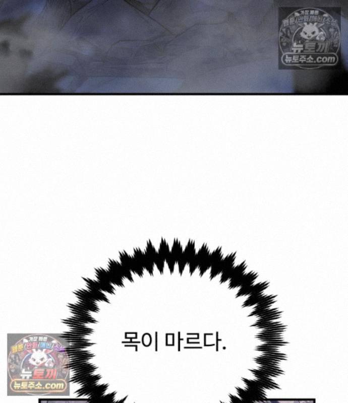 213.jpg