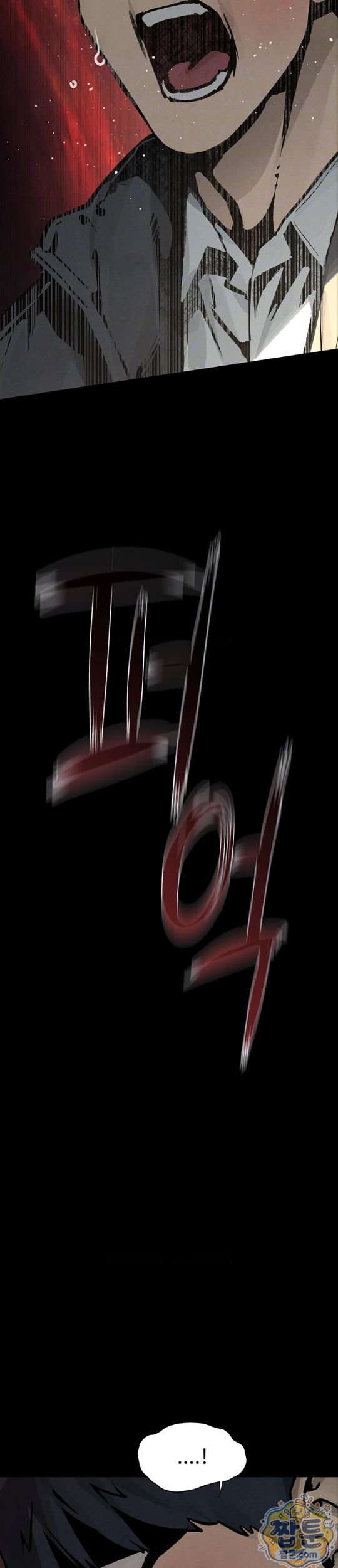 010.jpg