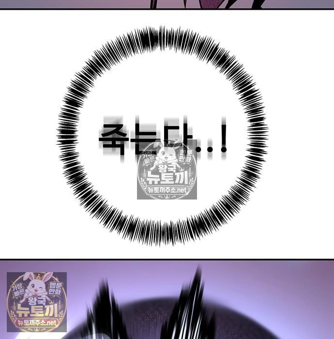 172.jpg