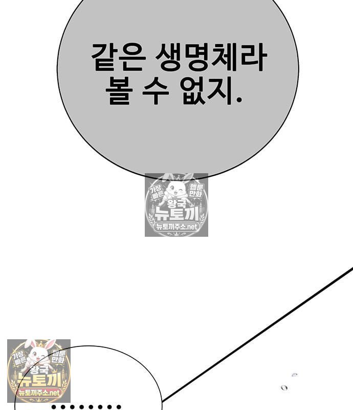 206.jpg