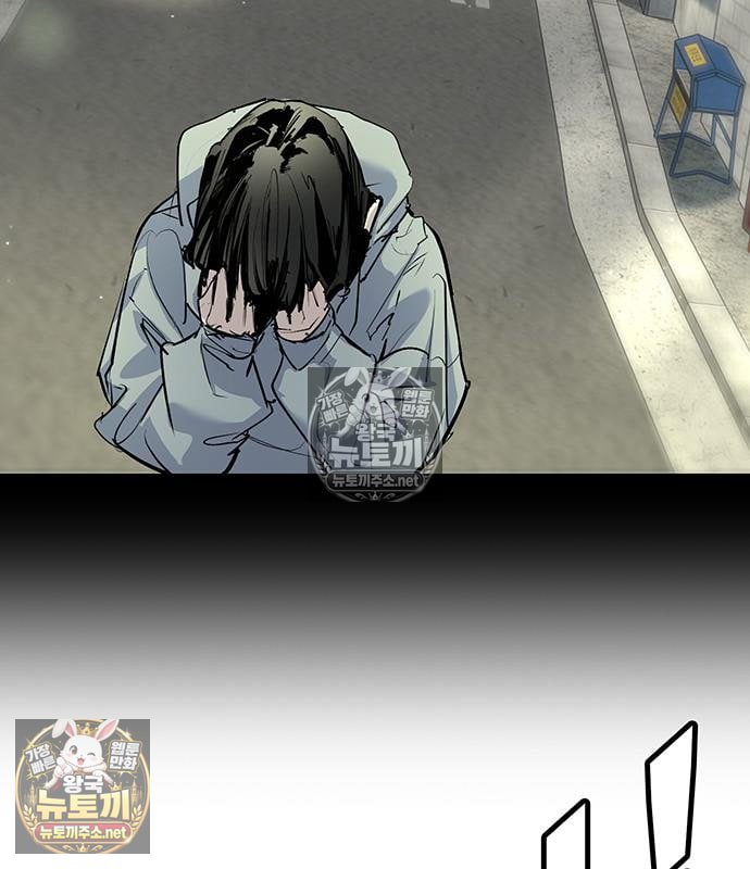 231.jpg