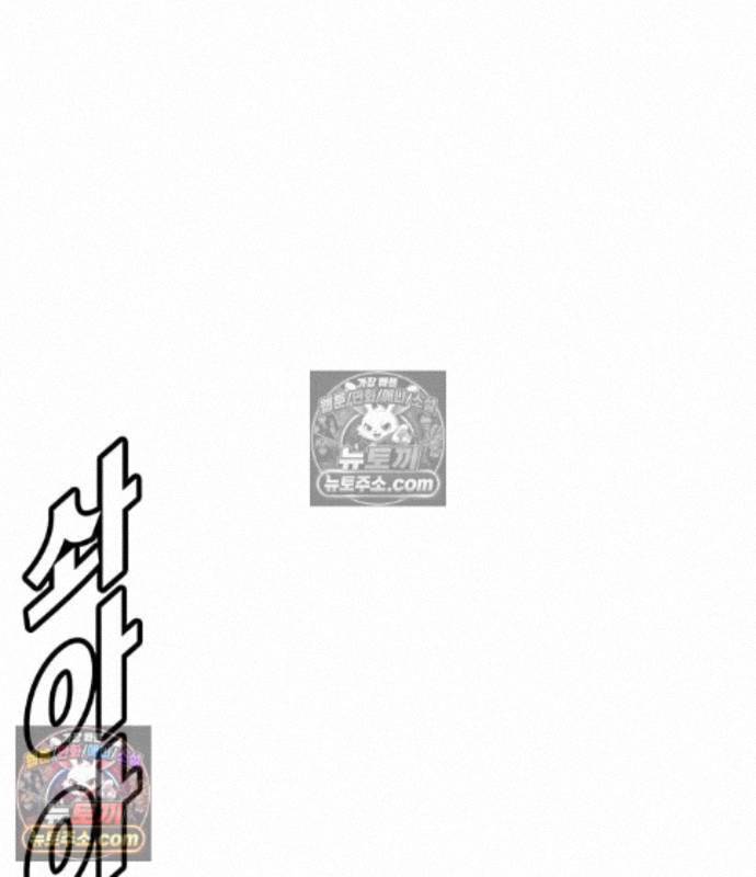 266.jpg