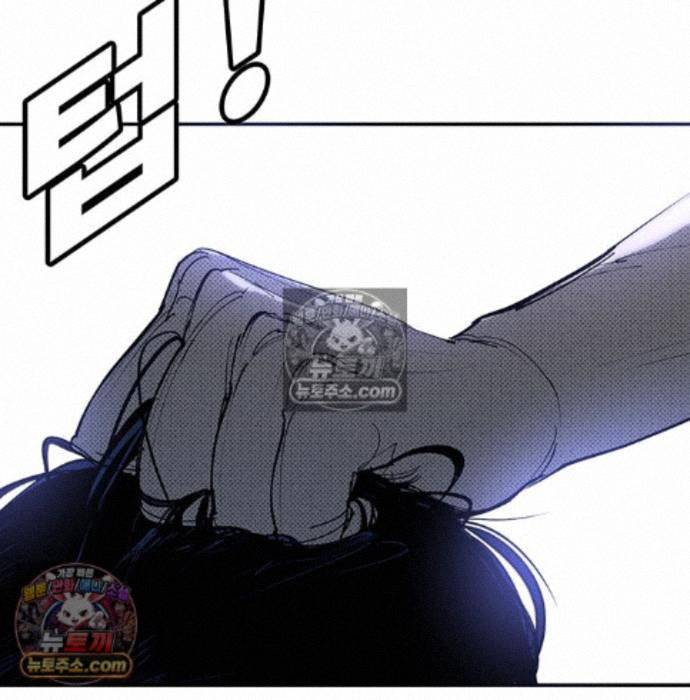 181.jpg