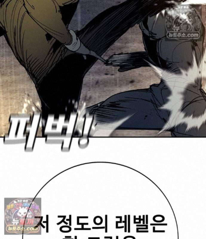 203.jpg