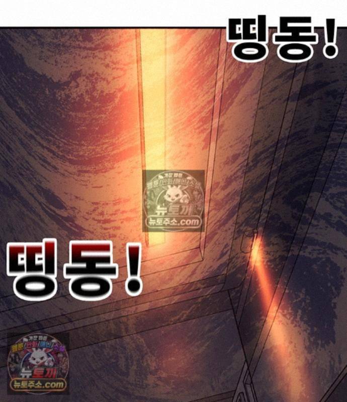 219.jpg