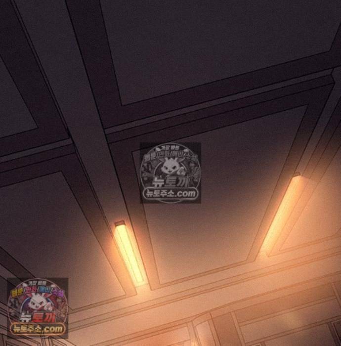 233.jpg