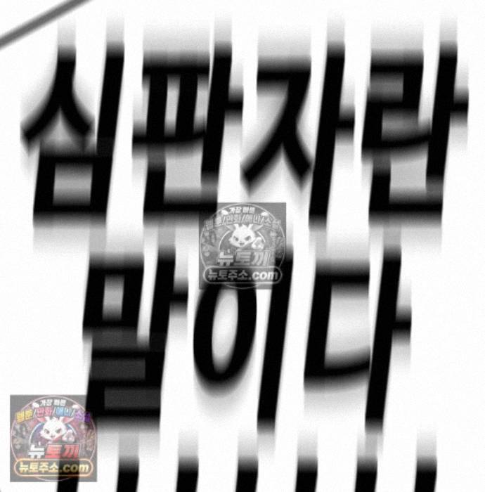 213.jpg