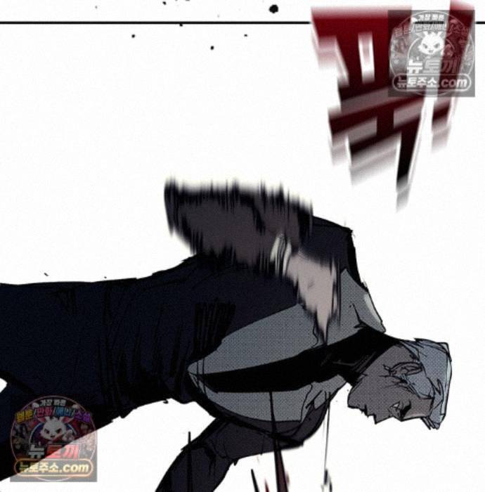 217.jpg
