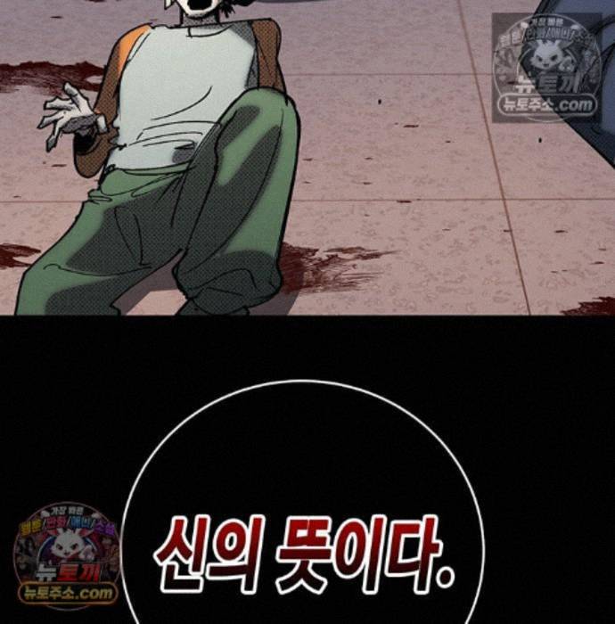 252.jpg