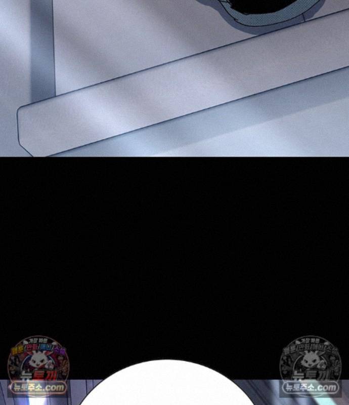 271.jpg