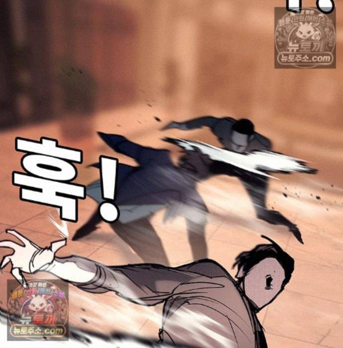 244.jpg
