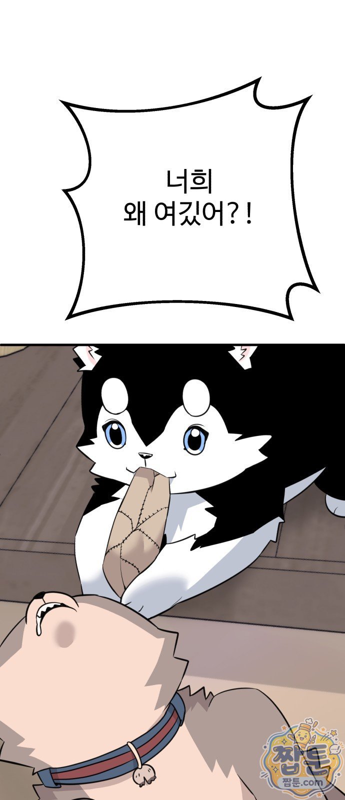 111.jpg