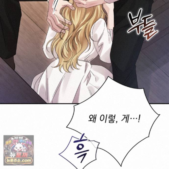 167.jpg