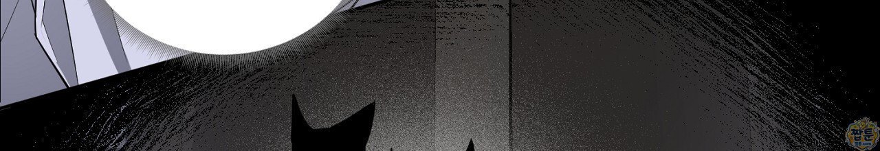 158.jpg