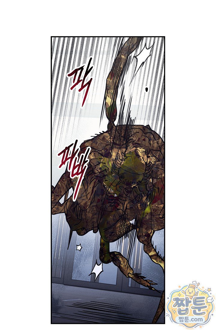 005.jpg