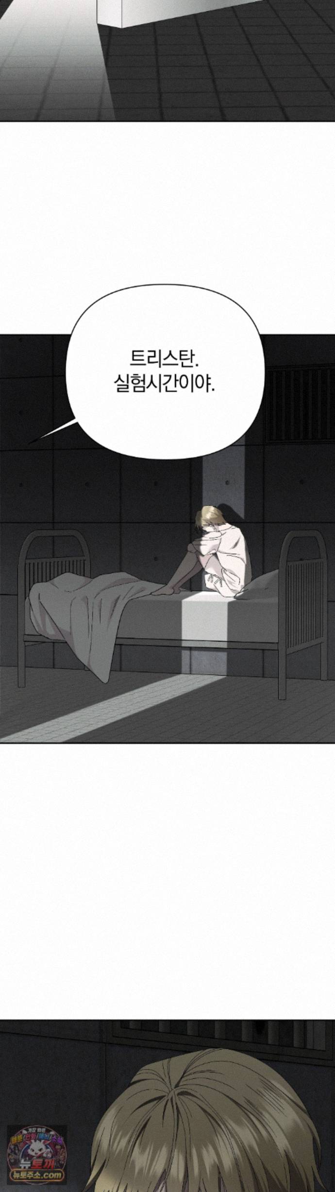 003.jpg