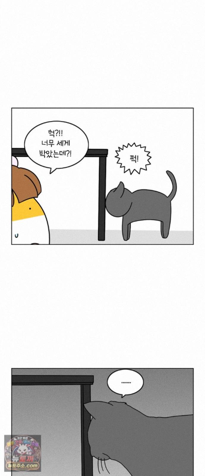 006.jpg
