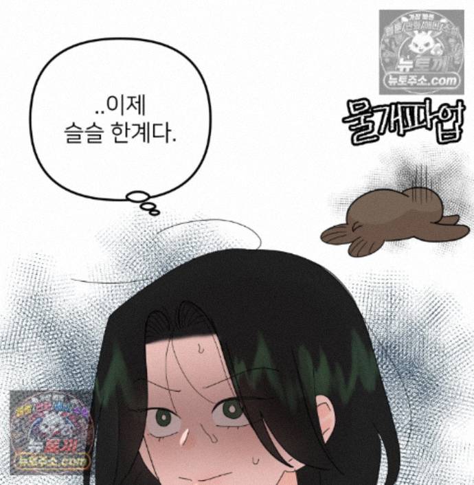 113.jpg