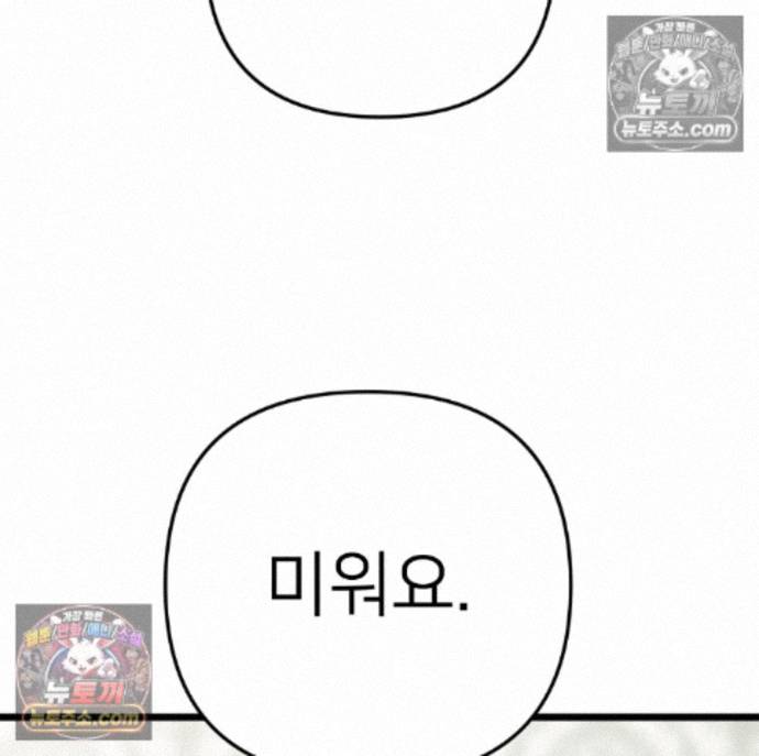 146.jpg