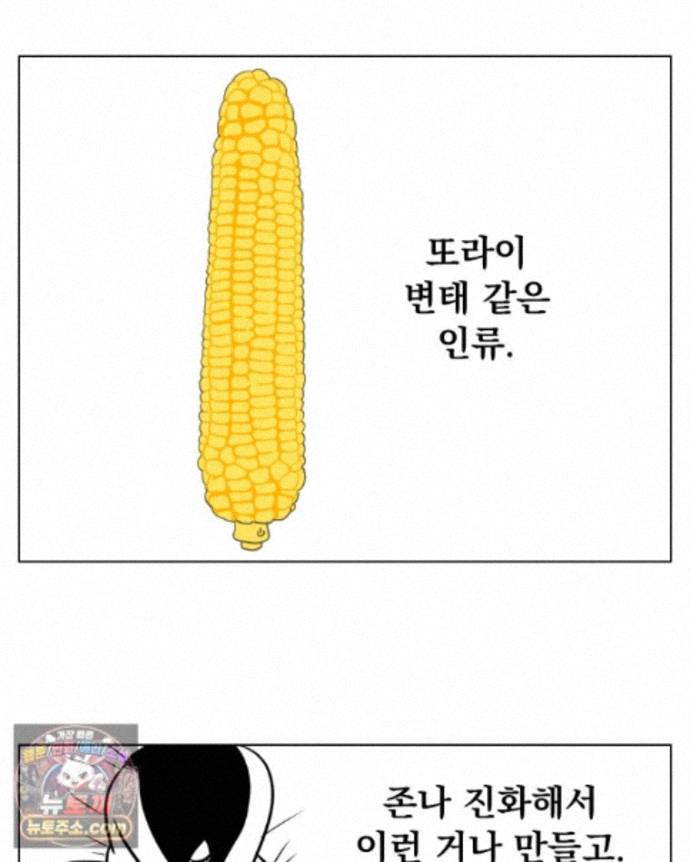 005.jpg