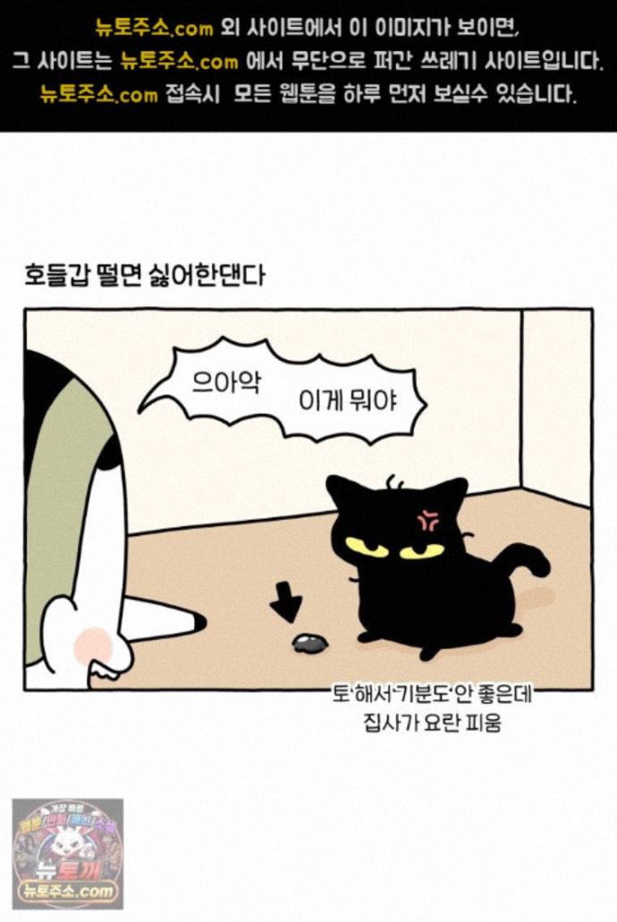 020.jpg