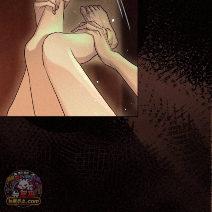 146.jpg
